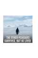 https://percdn.com/f/499569/bzR6YWFtNG0vcUp3ZXk4Z0hzWnBhZlJiYmNBPQ/p/697b4f976128d-71486435-sw1696sh2528.png